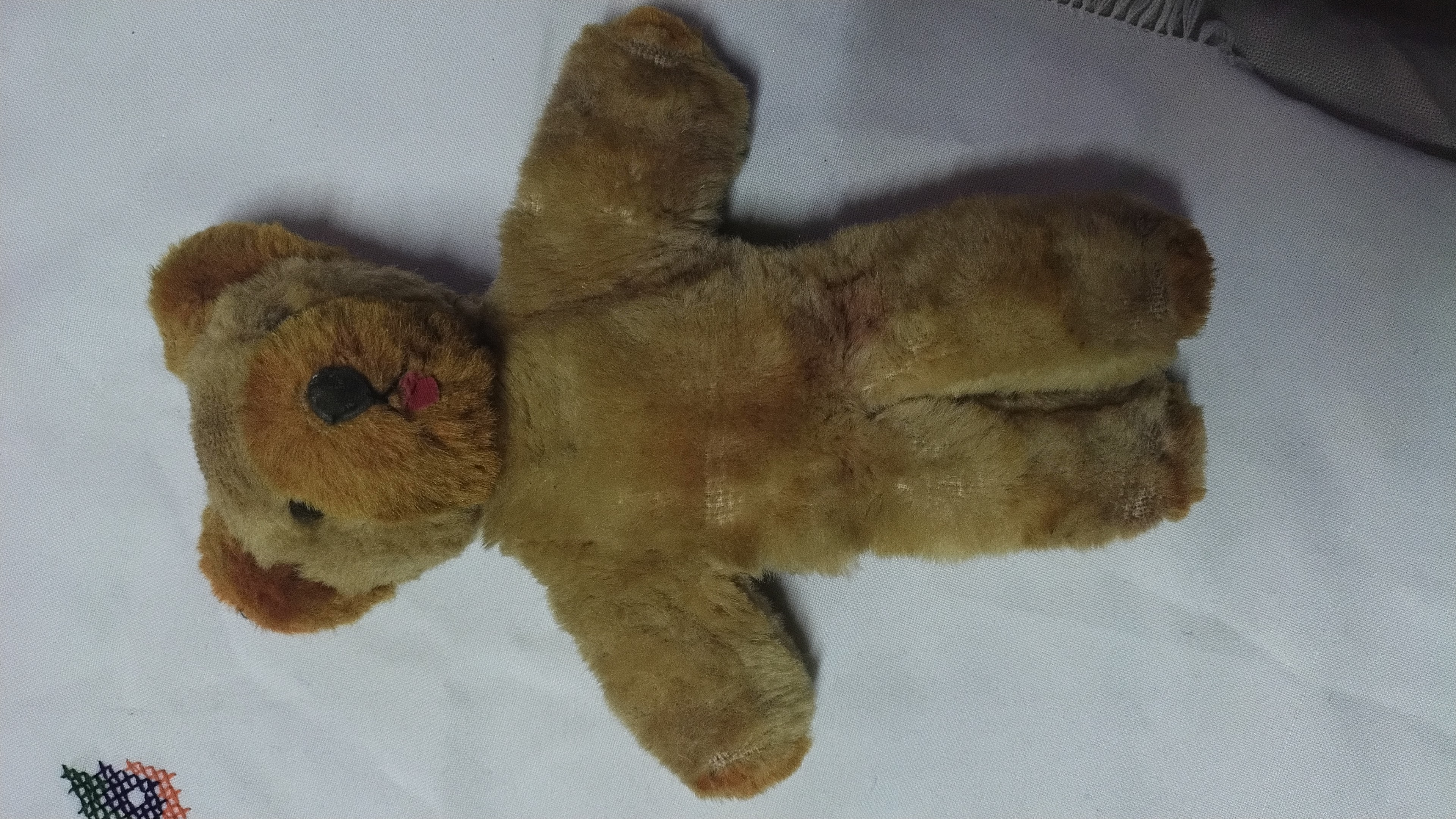 Ours en peluche