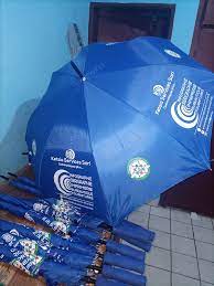 Parapluie bleu